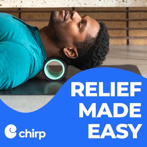 Chirp Wheel Foam Roller – Targeted Back & Neck Relief, Lumbar Spine Stretcher, Spinal Decompression Back Stretcher, Massage Roller with Density Foam for Physical Therapy, Supports 500lbs, 4-Inch Mint 6