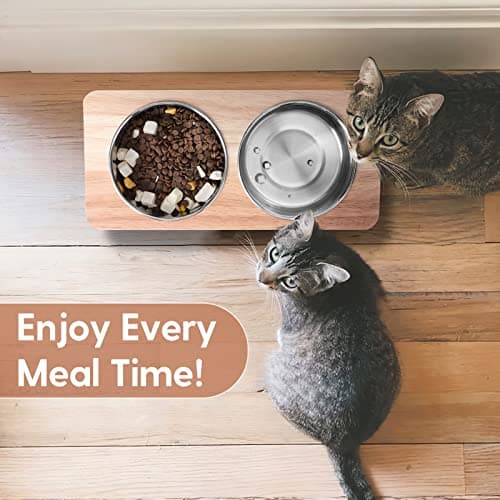 Siooko Elevated Cat Bowls, 15° Tilted Raised Cat Food Bowls Wood Pet Bowls with Stand Anti Vomiting 2 Stainless Steel Bowls for Cats and Puppy 7