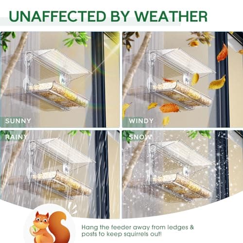 SUNALLY Window Bird Feeder for Outdoors, Clear Bird Feeders Window Mounted with Strong Suction Cups, Transparent Birds House Outside Wild Watching for Garden, Yard, Elderly Kids Viewing 6