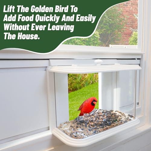 VIROTEE Window Bird Feeder Inside House for Viewing, Clear View Bird Feeder Winodw Insert Indoor, Watch Wild Birds in Your Bedroom 6