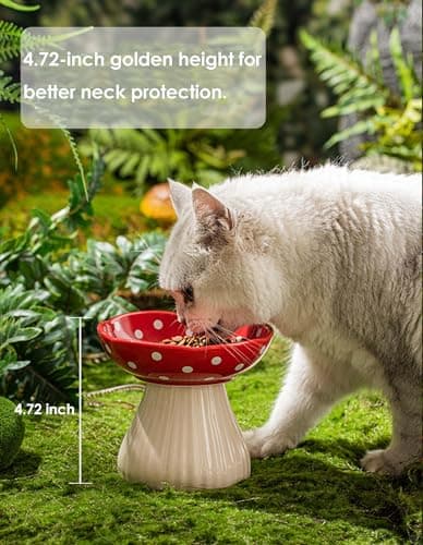 Whimsicalfox Raised Cat Bowl, Cute Mushroom Pet Feeder, Elevated Small Dog Food Bowl, Ceramic Raised Pet Bowls for Food and Water, Wide Shallow Cat Dish, Whisker Fatigue (Red) 5