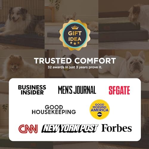 Bedsure Dog Beds Large Sized Dog - Comfy Flat Pet Beds with Removable Washable Cover, Orthopedic Egg Crate Foam Puppy Mat, Suitable for Pet Up to 65 lbs 6