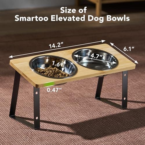 Smartoo Stainless Steel Elevated Cat Bowls - 15 Raised, Anti Vomiting, Dishwasher Safe 6