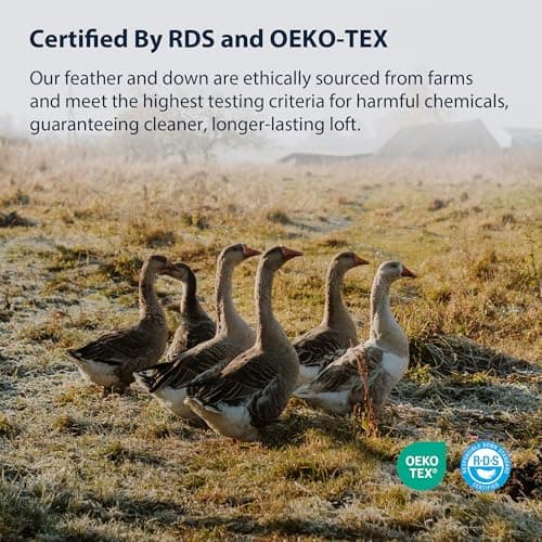 Pacific Coast Goose Feather and Down Bed Pillows Standard Size Set of 2, Hotel Pillow for Sleeping, Downproof, Soft, Fluffy, 100% Cotton Shell 6