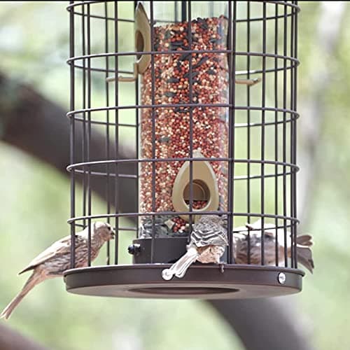 Mosloly Caged Bird Feeders Metal - 3 Lbs - Squirrel-Proof Wild Bird Feeders, Clear Tube Feeders Hanging Outside Starling Proof, Detachable Cleaning, 4 Feed Ports(Copper) 7