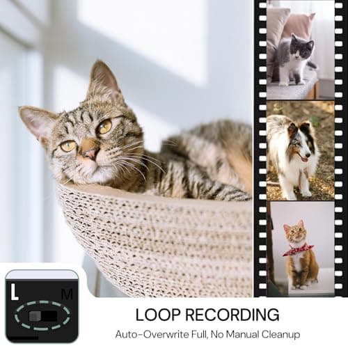 MINGYY Hidden Camera Spy Camera No WiFi Needed Nanny Cam Portable Mini Cameras 20 Hours Continuous Record for Home Security with Night Vision Motion Detection Gravity Sensor 1080P HD No Audio 8