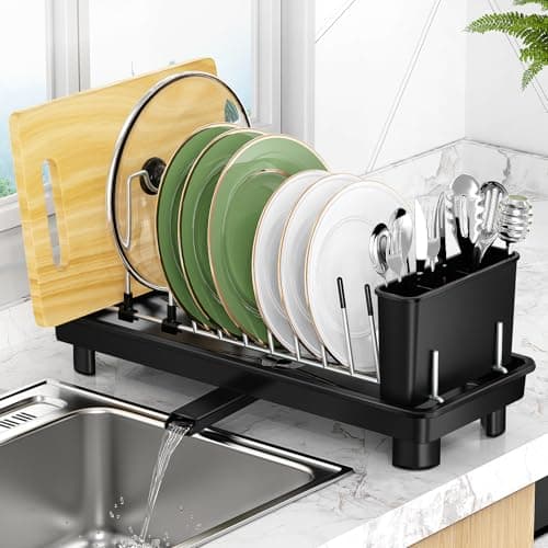 CosyPic Small Dish Drying Rack, Compact Dish Rack for Kitchen Counter, Space Saving Plate Rack, Dish Strainer with Cutlery Holder, Black