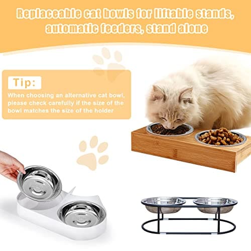 MicoSim Stainless Steel Cat Bowl-Shallow Wide Flat Cats Food Bowls,Metal Kitten Dishes Whisker Friendly Fatigue Relief,Replacement Basic Kitty Plates for Elevated Stand,Dishwasher Safe（Set of 5） 5
