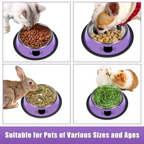 Serentive 2 Pcs Non-Slip Stainless Steel Small Cat Food Bowls - Unbreakable, 7 Oz, Suitable for Indoor Small Pets - Removable Rubber Base, Easy to Clean, Lovely Color 5