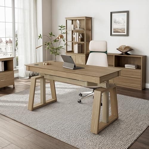 EUREKA ERGONOMIC Standing Desk,60x26 Executive Desk with 3 Drawer Adjustable Height Electric Desk Home Office Computer Desk Modern Workstation with Memory Controller