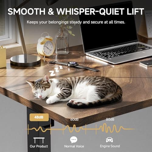 GTPLAYER Electric Standing Desk, 48 x 24 Inches Sit Stand up Desk with Memory Preset Controller, Height Adjustable Ergonomic Home Office Computer Desk (Rustic Brown) 6