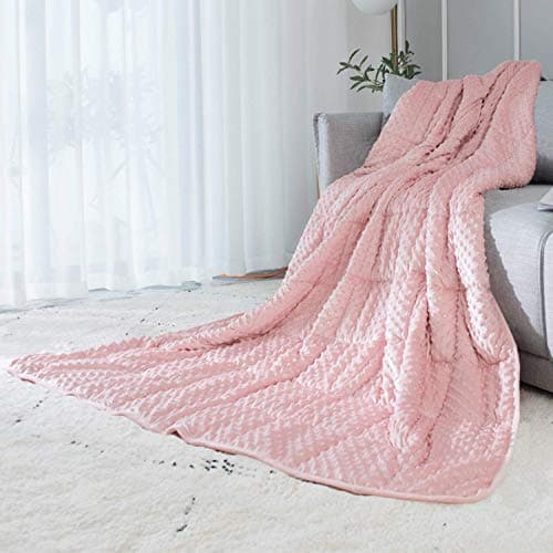ALANSMA Reversible Weighted Blanket for All Season, Luxury Velvet, Warm and Cool, Adult 5Lb Pink Weighted Blanket, Enjoy Sleeping Anywhere(Pink,35"x48" 5.5lbs)