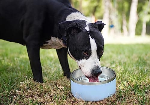 Alpine Set of 2 Stainless Steel Dog Bowls, Non Slip, Metal Pet Bowl for Food and Water, Double Walled Insulated, Rustproof, Dishwasher Safe- 32 Ounces- Sky Blue (AB) 6
