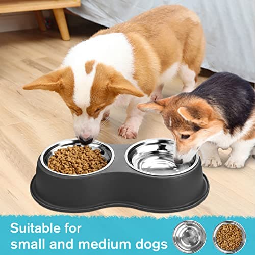 Epetslove Dog Bowls Double Dog Water and Food Bowl Stainless Steel Bowl with Non-Slip Resin Station, Pet Feeder Bowls for Puppy Medium Dogs Cats 7