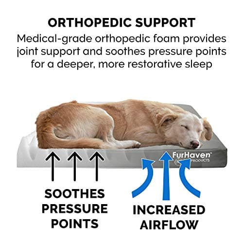Furhaven Water-Resistant Orthopedic Dog Bed for Medium/Small Dogs w/ Removable Washable Cover, For Dogs Up to 35 lbs - Indoor/Outdoor Logo Print Oxford Polycanvas Mattress - Stone Gray, Medium 5