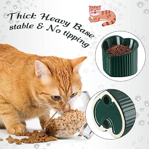 Mumufy 2 Pcs Ceramic Elevated Cat Bowls Tilted Elevated Raised Pet Bowls Anti Vomit Cat Dish for Indoor Stress Free Water Dish Feeder for Puppies, Heart Shaped(Peacock Green) 5