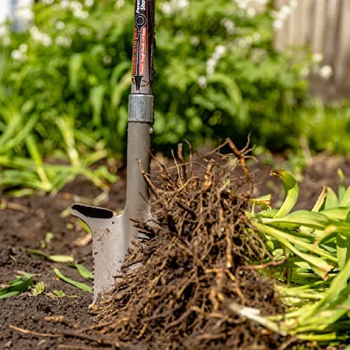 Root Slayer 23311 Perennial Garden Shovel with Serrated Blade for Digging and Root Cutting, Fiberglass Shaft, Heavy Duty Steel Spade, Red 8