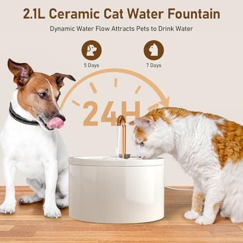 DOOOB Ceramic Cat Water Fountain, 2.1L/71oz Ceramic Cat Fountain, Automatic Ceramic Water Fountain for Cats, Pet Water Fountain with Ultra-Quiet Pump and 3 Filters & 3 Sponges (White) 5