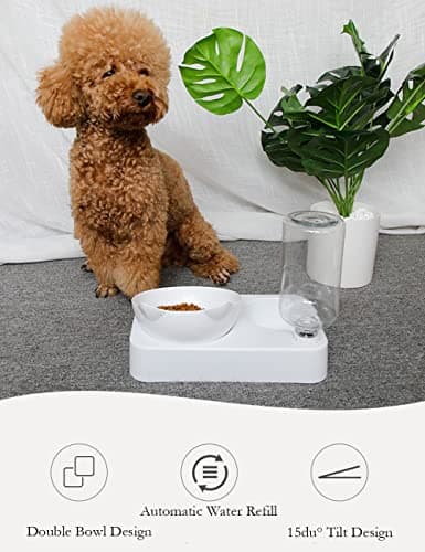 Marchul Cat Bowls, Pet Food Bowls, 15° Tilted Cat Bowl for Indoor Cats, Dog Food and Water Bowl Set 5