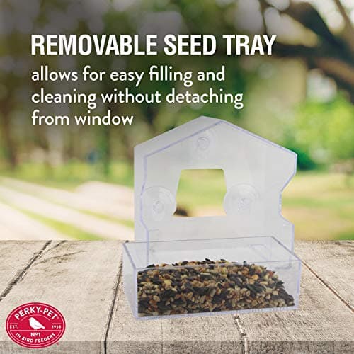 Perky-Pet Clear Outdoor Window Bird Feeder with Strong Suction Cups – 1/2 Lb Seed Capacity - Perky Pet 345 - Entertaining Bird Feeding - Watch Birds Eat Seeds 6
