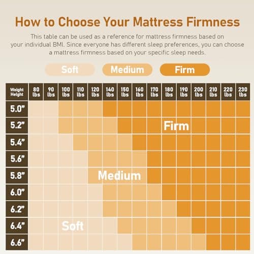 Glendan Firm Mattress Topper Queen: 3 Inch High Density Bed Topper - Extra Support Foam for Back Pain Relief - Breathable Washable Cover with Anti-Slip Straps - CertiPUR-US Oeko-Tex Certified 80x60 9