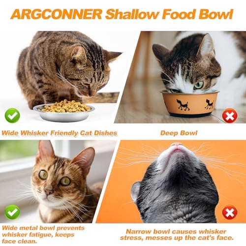 ARGCONNER 6 Pcs Stainless Steel Cat Bowls, Metal Cat Bowls Whisker Friendly, 5.5Inch Shallow Wide Cat Food Dishes, Replacement Basic Cat Plates 5