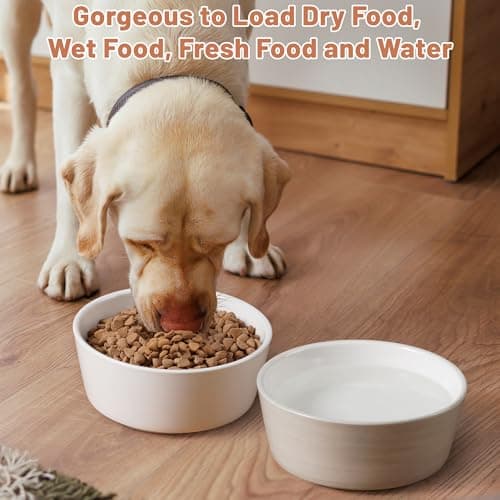 Kitwinney Dog Bowls, Non Slip Ceramic Dog Food and Water Bowl with Silicone Base, Heavy Weighted Pet Feeding Bowl for Cats, Puppoes and Small Dogs (Light Grey-2 Pack, 6 Inches) 5