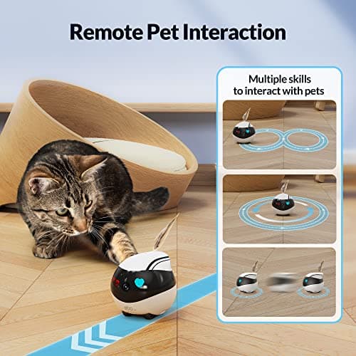 Enabot EBO Air Home Security Pet Camera, 2 Way Talk, Night Vison, Wireless APP Remote Control Indoor Security Camera, Movable Rechargeable Cam for Dog/Cat/Baby, SD Card Storage 7
