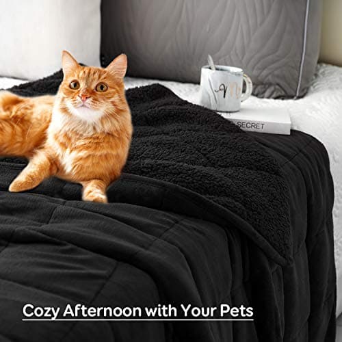 Sivio Weighted Blanket for Adult, 15 lbs Sherpa Heavy Throw with Fleece Reversible, Queen Size, Weighted Blanket for Men and Women Deep Sleeping, 60 x 80Inches Dual Sided Black 5