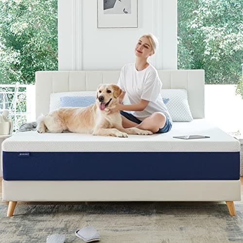 Molblly Queen Mattress, 10 inch Gel Memory Foam Mattress with CertiPUR-US Bed Mattress in a Box for Sleep Cooler & Pressure Relief, Queen 6