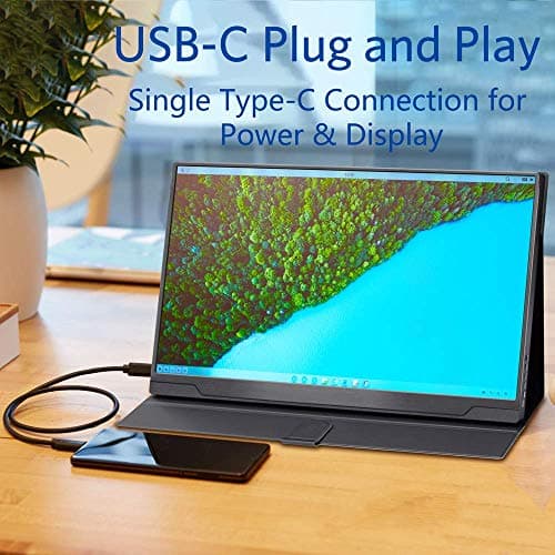 cocopar Portable Monitor 17.3 Inch 1080P FHD IPS 100% sRGB FreeSync USB-C Gaming Monitor with Type-C Mini HDMI for Xbox Laptop PC Mac Surface with VESA Mount (Renewed) 5