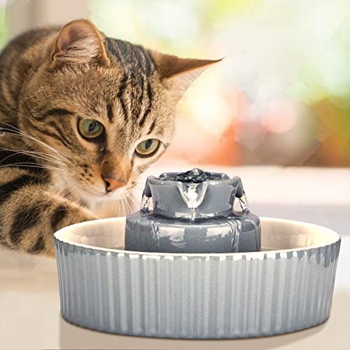 Ceramic Cat Water Fountain, 2.1L/71oz Cupcake Pet Water Fountain for Dog and Cat Indoor, 2 Ultra Quiet Pumps & 3 Carbon Filters 7