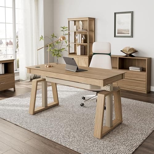 EUREKA ERGONOMIC Ark EL, 60x26 Executive Standing Desk with 3 Drawer Adjustable Height Electric Desk Stand up Desk Home Office Computer Desk with Storage Modern Workstation with Memory Controller