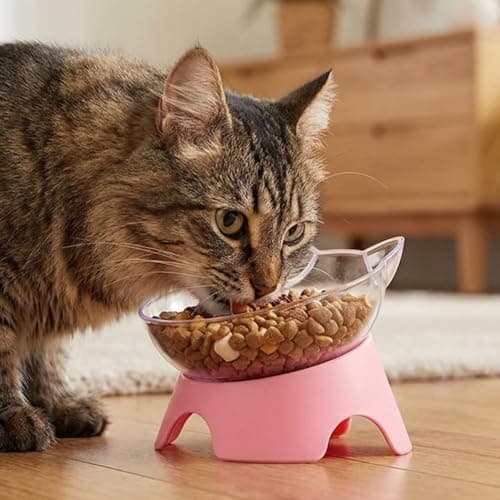 MILIFUN Raised Cat Food Bowls with Stand, Cat Dishes for Food or Water, Tilted Bowl, Pet Dish with Stand 6