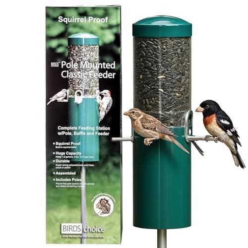Birds Choice Classic Squirrel Proof Bird Feeder with Pole Mount | Tube Bird Feeder for Cardinals, Chickadees, Woodpeckers | Sturdy Steel for Long-Lasting Use | Backyard Bird Seed Dispenser | Green