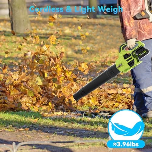 Leaf Blower Cordless with 2 x 4.0Ah Battery and Charger, 780CFM 260MPH Electric Blower with 2 Speeds, 20V Handheld Leaf Cleaner for Lawn Care, Blowing Leaves, Dust, Snow, Gravel for Patio, Yard, Green 6