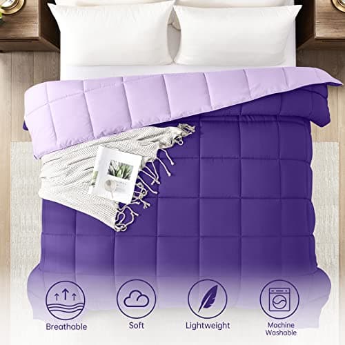 Homelike Moment Comforters Queen Size - Purple Duvet Insert Down Alternative Bed Queen Comforter, Lightweight Bedding Comforter Full Size Quilted Soft All Season Reversible Plum/Light Purple 5