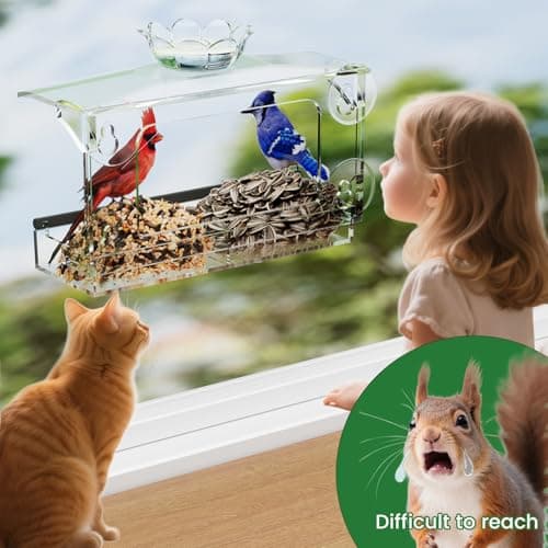 TC-DCDM Window Bird Feeder for Outdoors-Clear Acrylic Window Bird Feeders with Strong Suction Cups and Removable Seed Tray,Transparent Birdhouse for Viewing Wild Birds, Ideal Outside Gardening Gifts 5