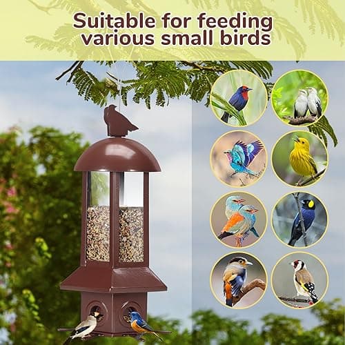 Professional Squirrel Proof Bird Feeders - Sorflife Large Capacity 5.06 lbs, Reliable and Rust Resistant Metal Bird Feeding Station for Prevents Squirrels from Stealing Food and Easy Refilling Brown 7