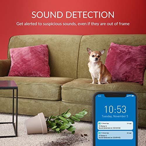 YI Pet Security Camera 2pc, 1080p 360-degree Smart Indoor Dog Cat Dome IP Cam with Night Vision, 2-Way Audio, Motion Detection, Phone App, Compatible with Alexa and Google 7