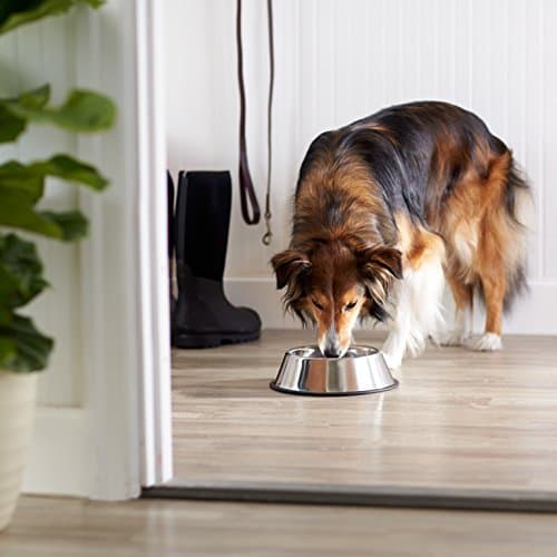 Amazon Basics Stainless Steel Non-Skid Dog Bowl, Dishwasher Safe, Rust Resistant, Single 6