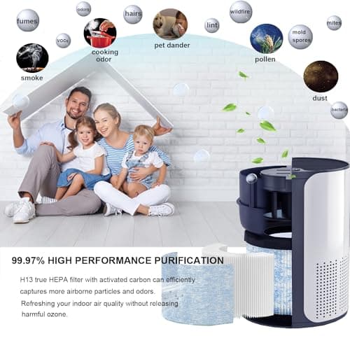 Skydiras 2 Pack MA-01CW Replacement Filter, Compatible with Miko Ibuki Air Purifier C102, H13 True HEPA 5