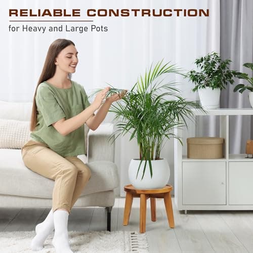 Demigo Indoor Plant Stand, Acacia Wooden Decorative Plant Shelf with Spill-Proof Tray, Stable 8” Tall Flower Holder for Heavy Pots, Gardening Display for Decor Living Room Patio - Natural Brown 6