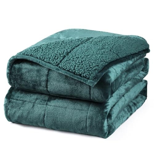 Aemicion Plush Sherpa Weighted Blanket Queen Size 15lbs - Soft Cozy Fleece Heavy Weighted Blanket, Breathable and Washable -Gift for Women Men-Green