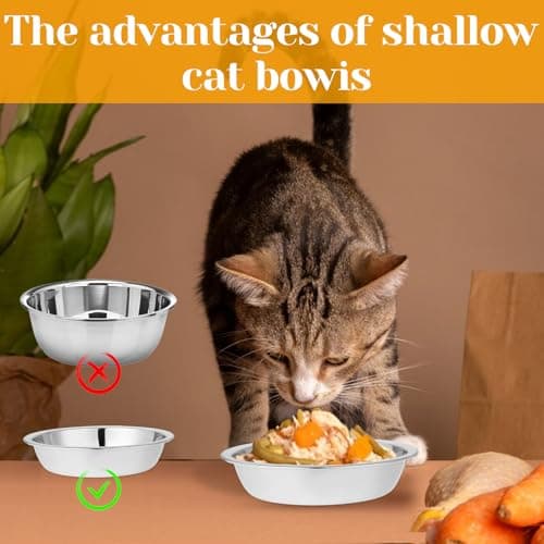 3Pcs Stainless Steel Cat Bowl, 5.5 Inch Metal Cat Food Bowl, Cat Bowls Whisker Friendly, Shallow Wide Flat Cat Food Bowls, Replacement Basic Cat Plates, Metal Basic Cat Bowls, Small Cat Bowls Wet Food 5