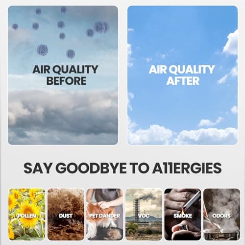 C545 Replacement Filter Ture HEPA Compatible with Winix C545 Air Purifier, for Winix Filter S, Part 1712-0096-00 and 2522-0058-00, Pack of 2 HEPA & 8 Activated Carbon PreFilter 5