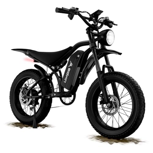 BIGNIU Electric Bike for Adults – 20" Fat Tire, Peak 1200W Motor, 48V 15A Battery, 7-Speed, Dual Disc Brakes for Off-Road and City Riding BG-S (Dark Black)