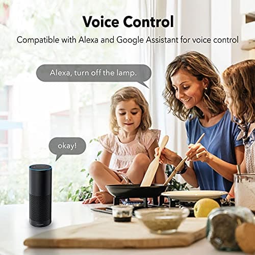 BN-LINK Smart Wi-Fi Plug Outlet, Remote Control by App, Compatible with Alexa and Google Assistant, Weatherproof, Requires 2.4 GHz Wi-Fi, ETL Listed 5