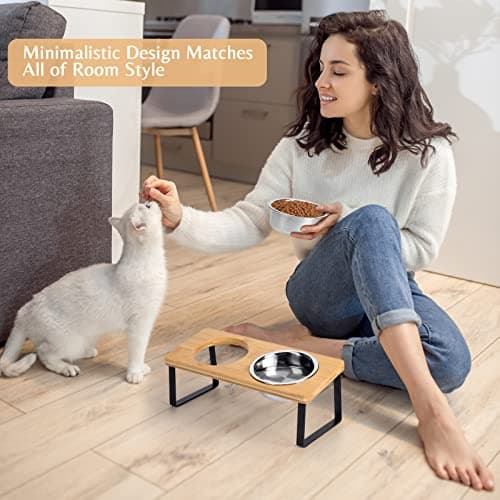 Cat Food Bowl for Indoor Cats - Elevated Stainless Steel Water Bowl, Tilted Raised Kitten Dish Set for Whisker Friendly and Anti Vomit, Feeding Station for Puppy and Pet 7