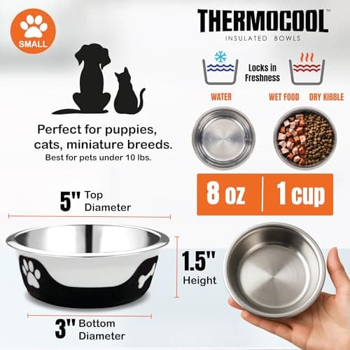 Thermocool Insulated Stainless Steel Pet Bowl - 8 Oz (X-Small) Non-Slip Feeding Dish Reduces Sliding & Spills, Keeps Water Cold & Food Warm, Dishwasher Safe (Purple) 5